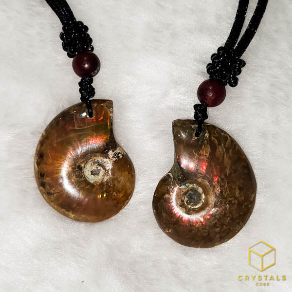 Ammonite Pendant