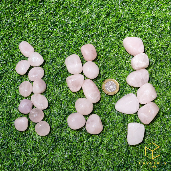 Rose Quartz Tumble (Small to Large)