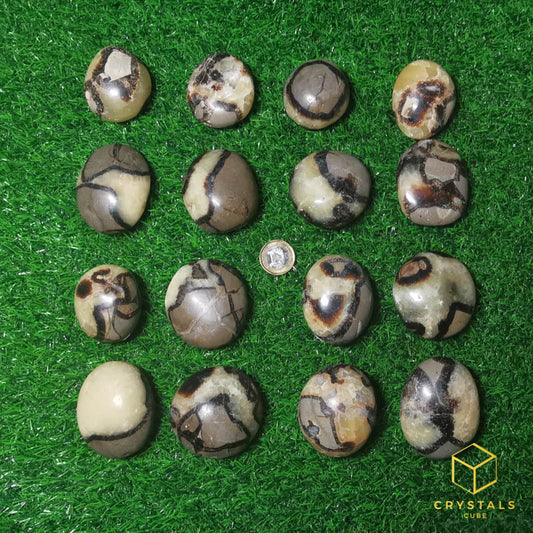 Septarian Palm Stone