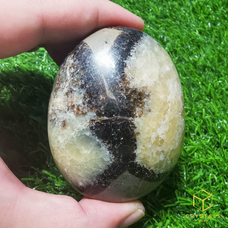 Septarian Palm Stone
