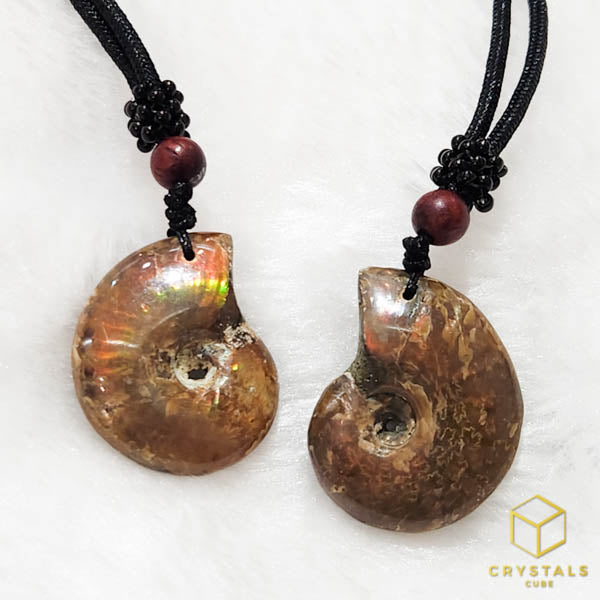 Ammonite Pendant