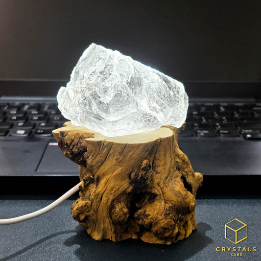 Wood Log Display LED Lamp for Crystals