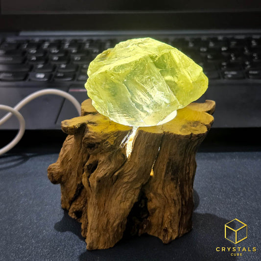 Wood Log Display LED Lamp for Crystals