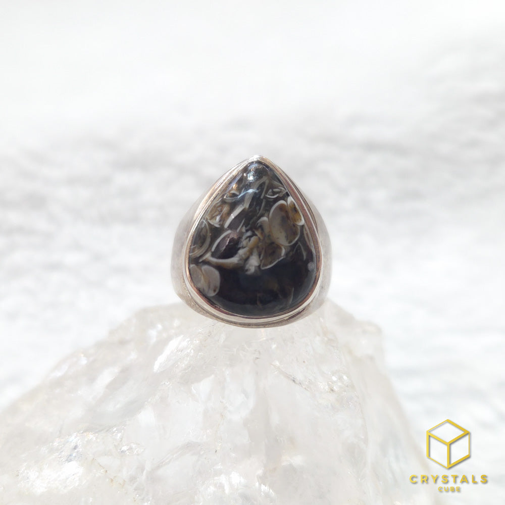 Turritella Agate Ring - US Size 7