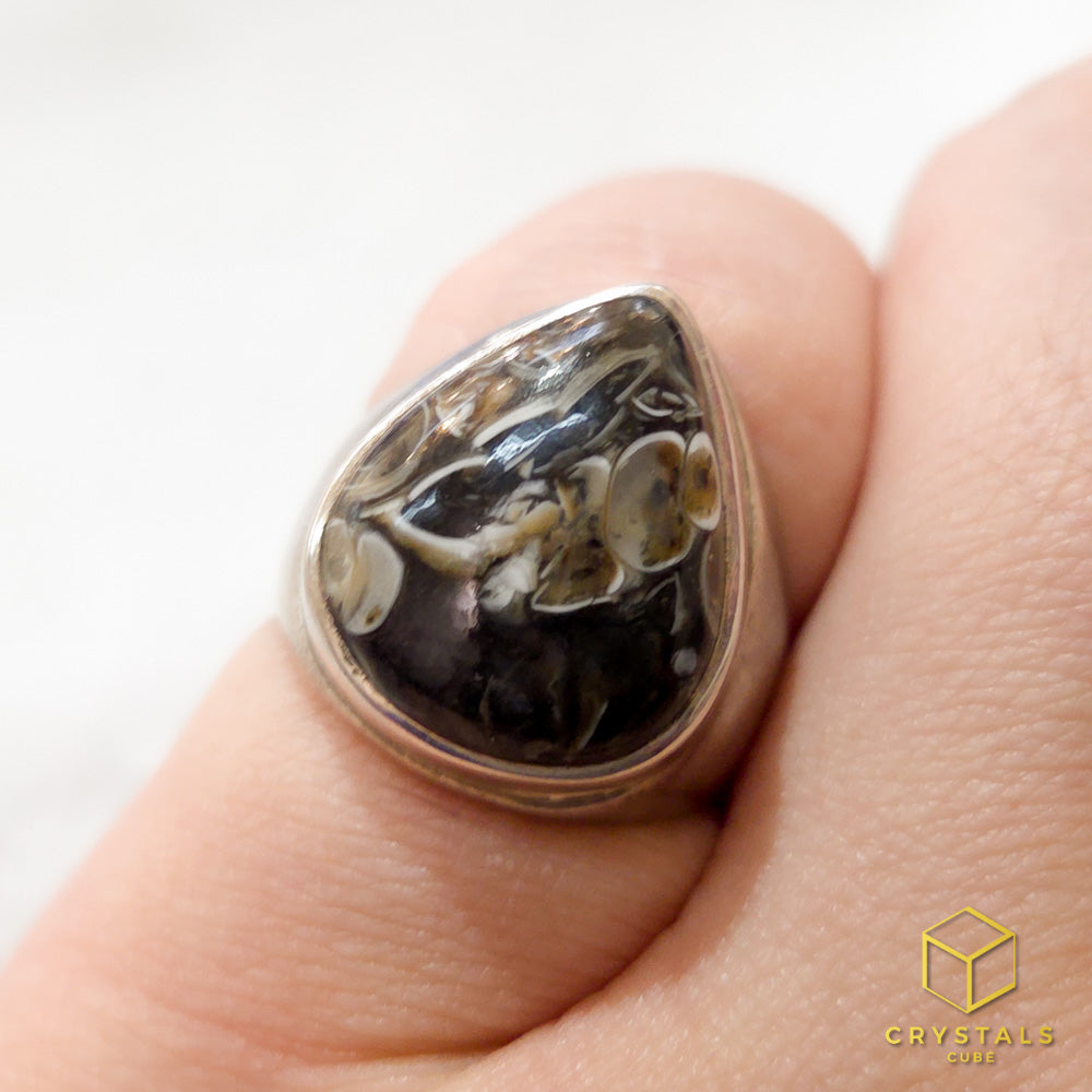 Turritella Agate Ring - US Size 7