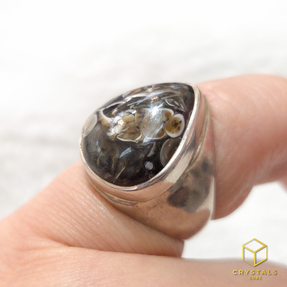 Turritella Agate Ring - US Size 7