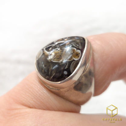Turritella Agate Ring - US Size 7