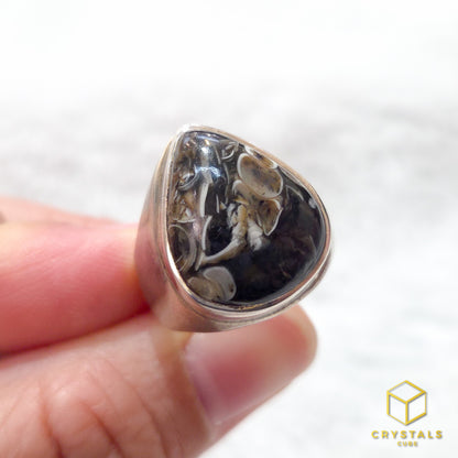 Turritella Agate Ring - US Size 7