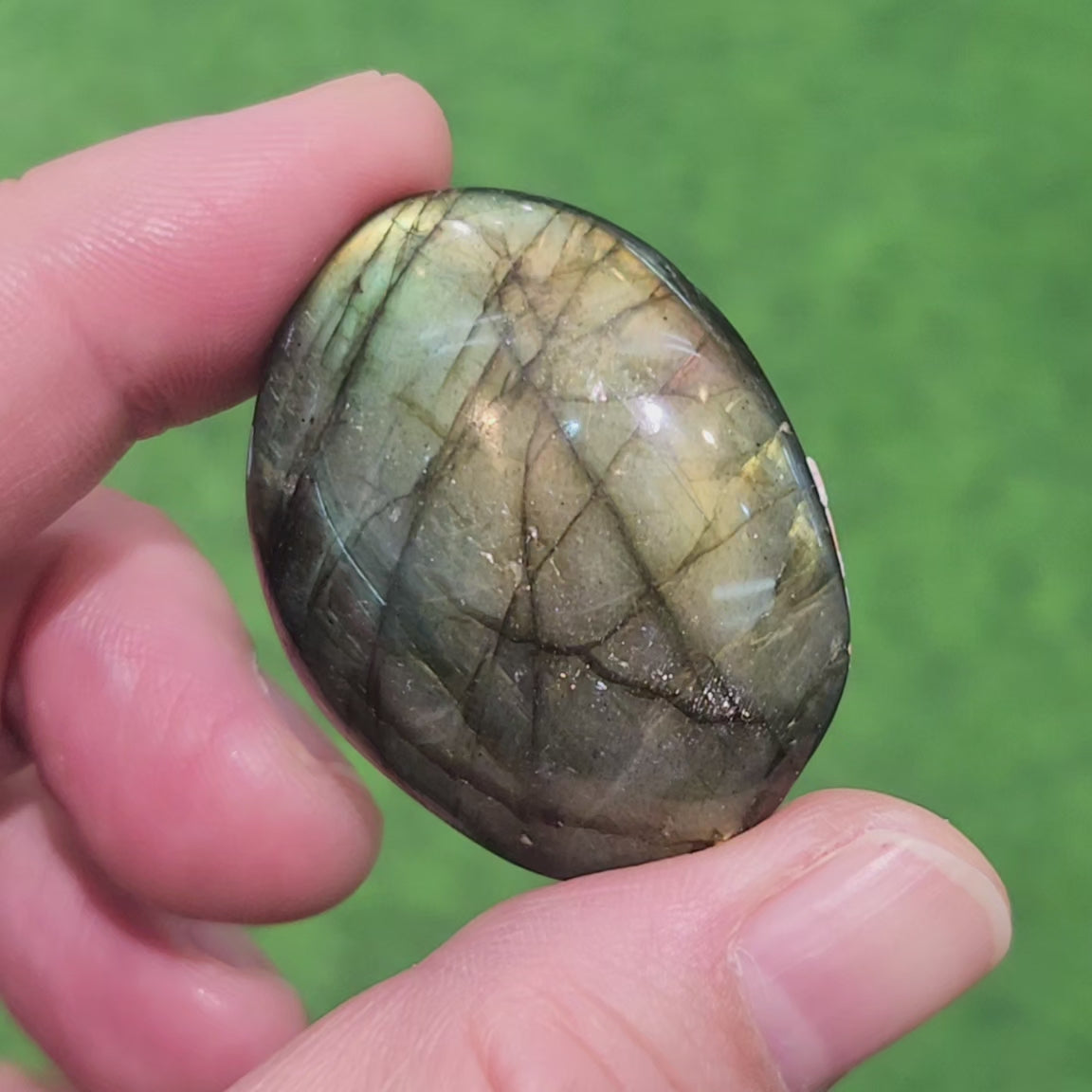 Labradorite Palm Stone