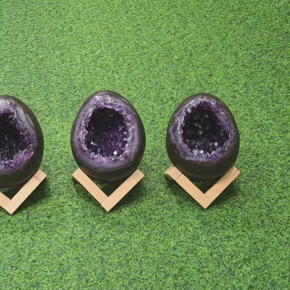 Amethyst Dinosaur Egg / Geode / Cave (Uruguay)