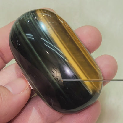 Tiger's Eye Palm Stone - Blue & Golden