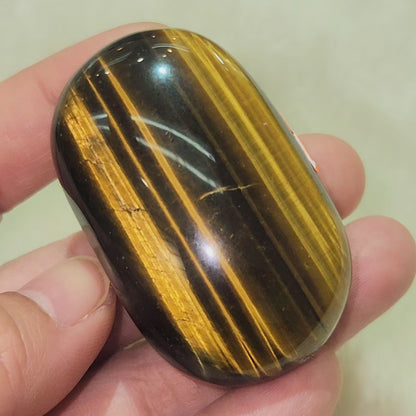 Tiger's Eye Palm Stone - Blue & Golden