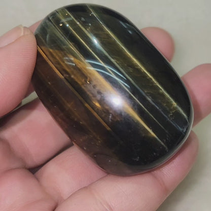 Tiger's Eye Palm Stone - Blue & Golden