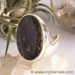 Load image into Gallery viewer, Turtella Jasper Ring
