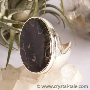 Turtella Jasper Ring