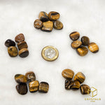 Load image into Gallery viewer, Tiger&#39;s Eye Mini Tumble - 5pcs
