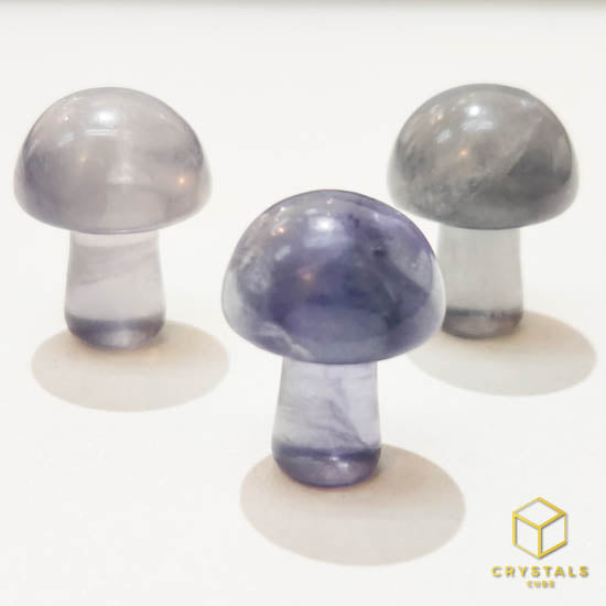 Mini Crystal Mushrooms - Fluorite