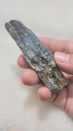 Load and play video in Gallery viewer, Blue Kyanite with Muscovite(Mica) Raw
