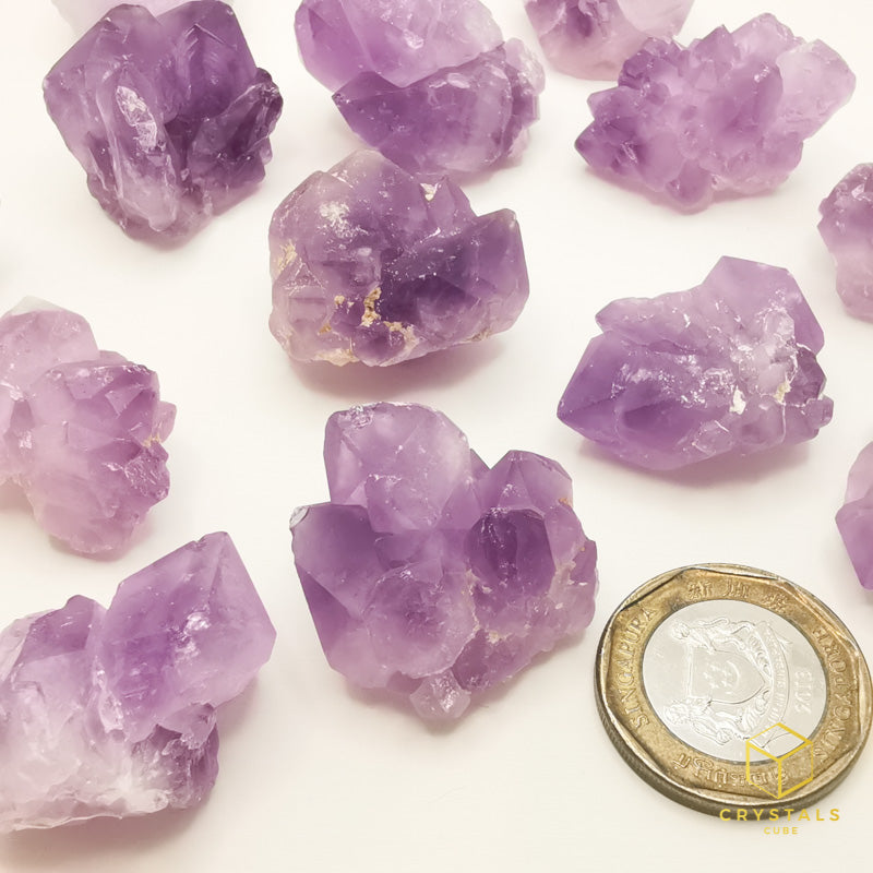 Amethyst Mini Clusters