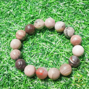 Petrified Wood Bracelet