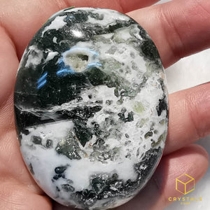 Moss Agate Palm Stone