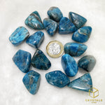 Load image into Gallery viewer, Blue Apatite Tumble
