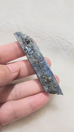 Load and play video in Gallery viewer, Blue Kyanite with Muscovite(Mica) Raw
